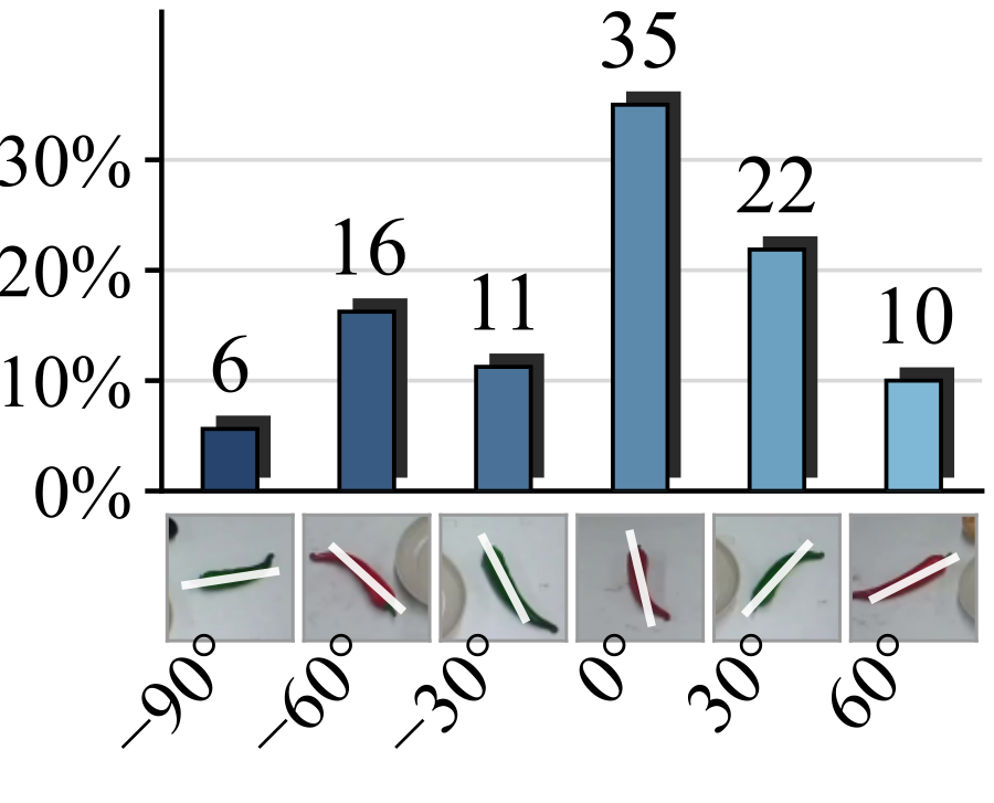 Histogram of demonstrated chili orientations: 6, 16, 11, 35, 22 and 10 percent from minus 90 to 60 degrees