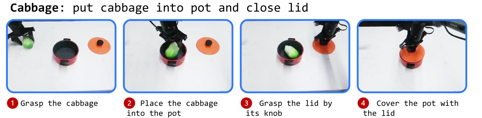 Cabbage: grasp the cabbage, place it into the pot, grasp the lid by its knob, cover the pot